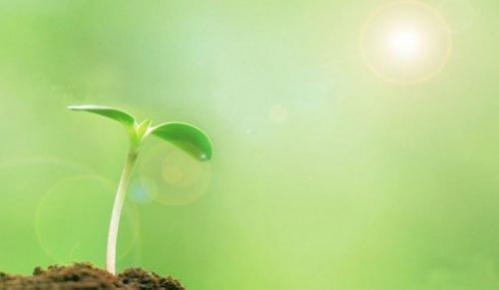 想人的个性签名 