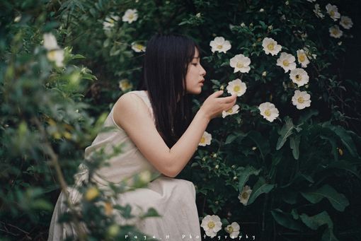 肉麻的情话，追女孩子必用的甜言蜜语(图1)