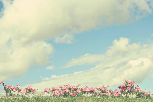 qq优美的爱情说说短语 (图1)