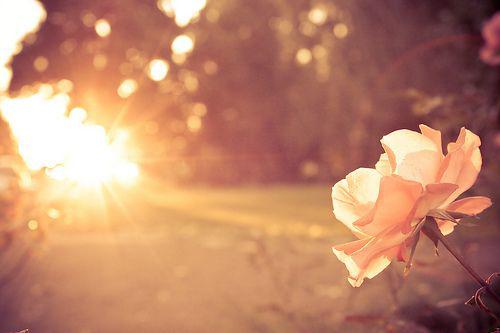 好听的爱情短说说大全 