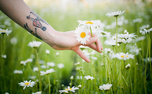 你的眼睛，是我永生不会再遇的海 
