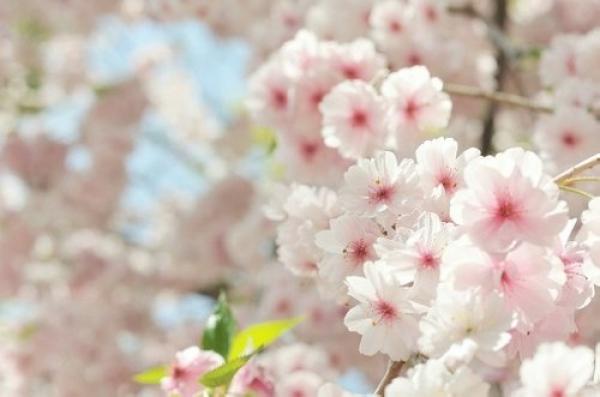 爱情使人忘记时间，时间也使人忘记爱情 说