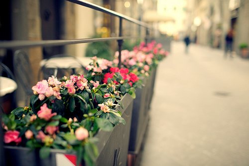 关于爱情的正能量说说 