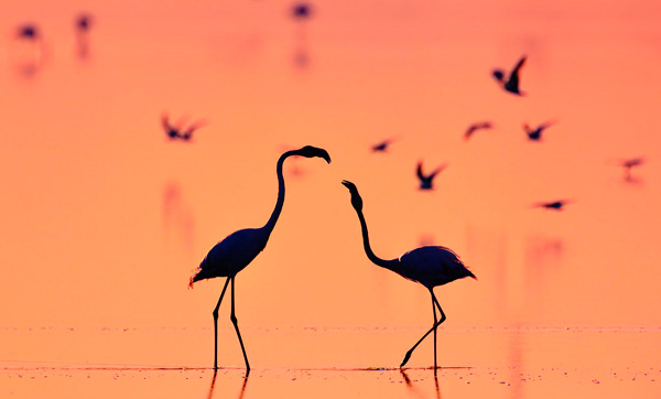 一辈子的说说 拥抱着你的滋味 胜过一切的