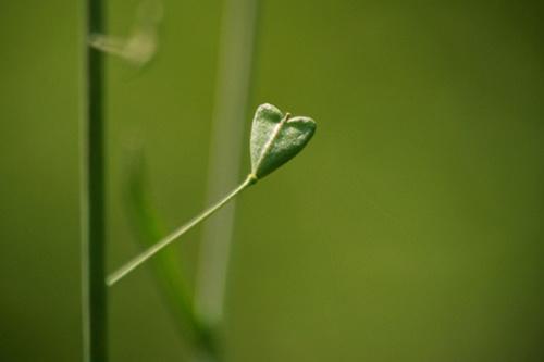 心情莫名的难过的说说 (图1)