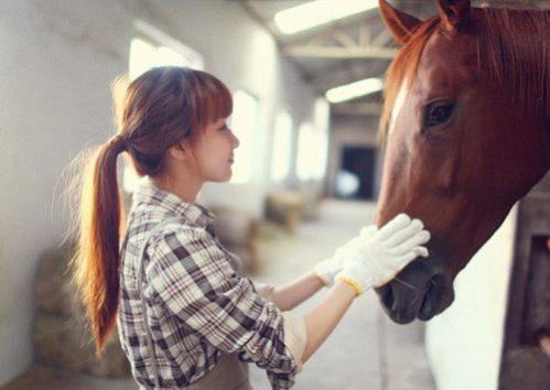 淡淡忧伤的空间说说 我渐渐迷失旅途 可未