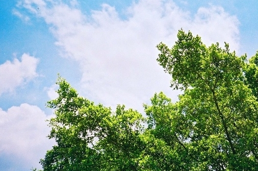 qq空间沧桑说说 抚摸着沧桑过后的疲惫 (图1) qq空间沧桑说说 抚摸着沧桑过后的疲惫 (图1)
