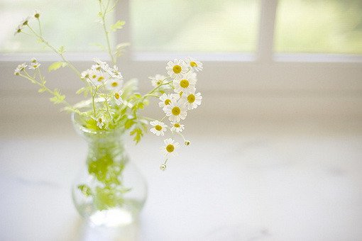伤感失恋说说 恨过你、咒过你，可我还是想念你(图2)