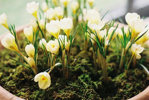 表白失败的说说大全 