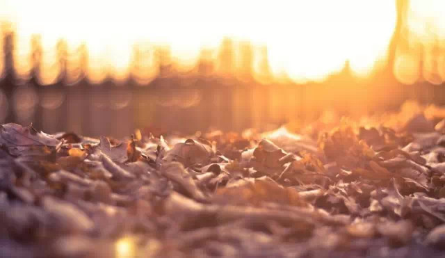 心累了的说说经典句子 (图1) 心累了的说说经典句子 (图1)