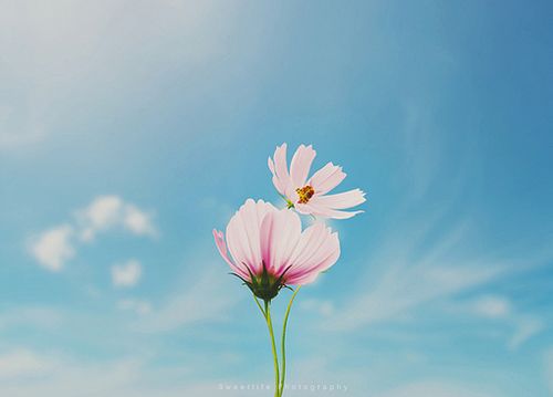伤感失落的说说大全 