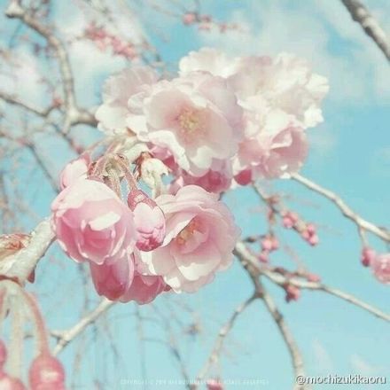 带图片的伤感爱情短语 (图3) 带图片的伤感爱情短语 (图3)