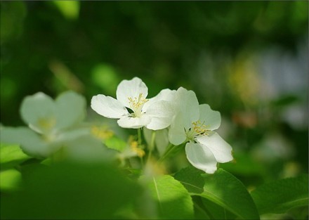 伤感的微信签名 (图1)