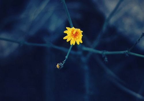 QQ空间伤感语句 感谢我们最后彼此离开. (图1) QQ空间伤感语句 感谢我们最后彼此离开. (图1)