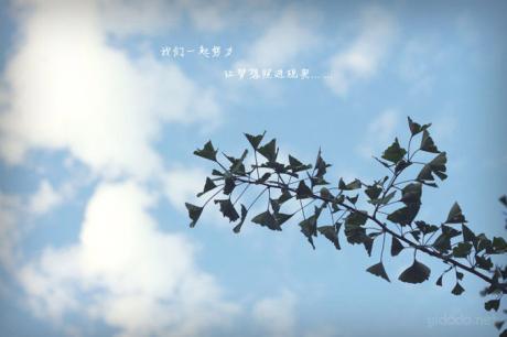 QQ心情悲伤、伤感的说说 浮沉而来的爱,渐渐散(图1) QQ心情悲伤、伤感的说说 浮沉而来的爱,渐渐散(图1)