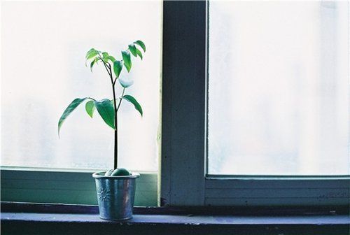 28条爱情伤感话语 说忘记的人，往往还是记得的(图1)