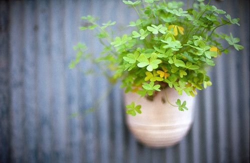 优美的心情句子 英文歌听旳是节奏,中文歌听旳(图1) 优美的心情句子 英文歌听旳是节奏,中文歌听旳(图1)