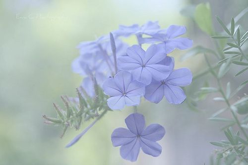心情复杂的qq空间说说 抢我所爱我凭什么成人之(图1) 心情复杂的qq空间说说 抢我所爱我凭什么成人之(图1)