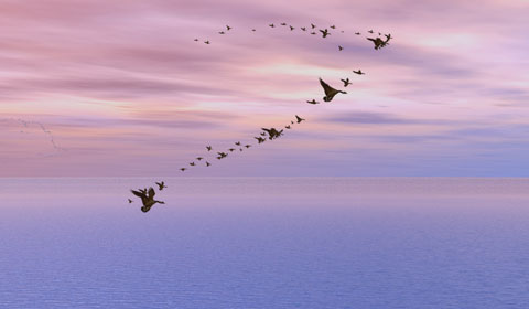 说说大全2018流行的 最伤感经典的qq空间说说 (图1) 说说大全2018流行的 最伤感经典的qq空间说说 (图1)