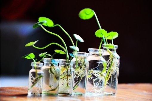 分手后说说 你离开了太久 我已忘记了你的摸样(图1) 分手后说说 你离开了太久 我已忘记了你的摸样(图1)