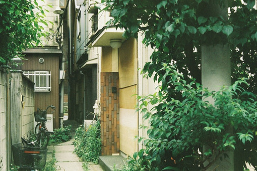 我把自己交给时光。时光把我交给寂寞 (图1) 我把自己交给时光。时光把我交给寂寞 (图1)