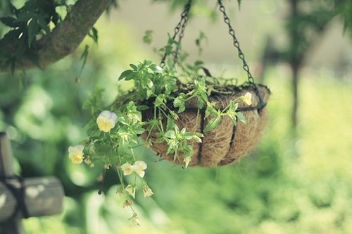 唯美的句子说说心情最新版的 (图1)