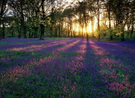 别让那些暧昧，破坏了彼此相爱的默契 (图1)