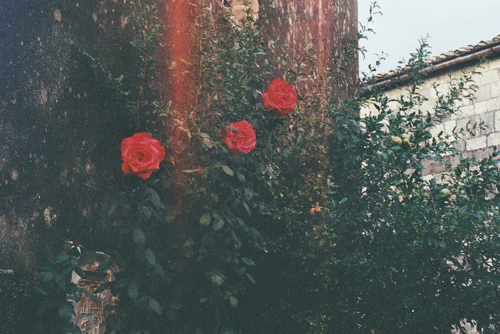 qq心情说说经典的一句话 (图1)