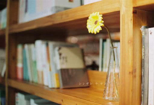 感情的句子说说心情 (图1)