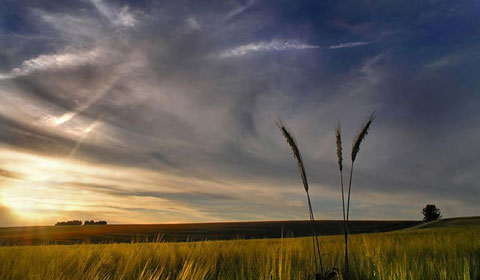 微信心情说说 错爱，是喜欢却不合适的鞋，穿了(图1)