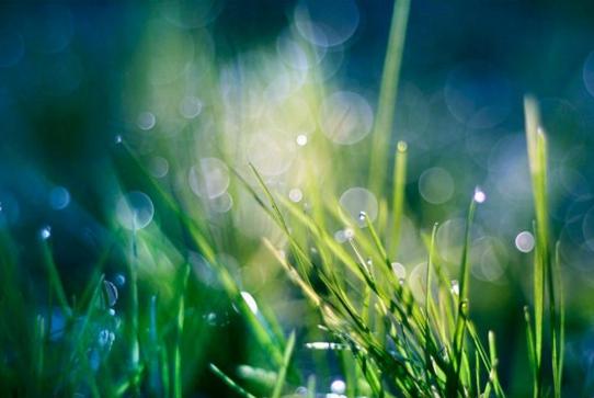 带有一点伤感的心情说说 