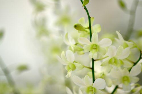 总会有一个人知你冷暖，懂你悲欢 