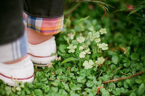 转发量高的说说 (图1)