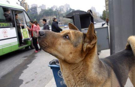 关于感冒的qq说说 (图1) 关于感冒的qq说说 (图1)