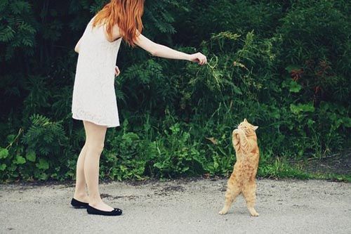 太多的昨天、占据了我的今天 