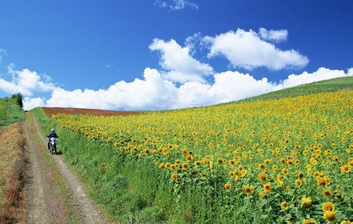 一个人行走不要害怕，掌一盏灯，惊艳世间 