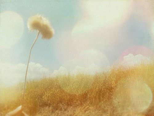 爱情不合乎逻辑，或许这就是爱的逻辑 