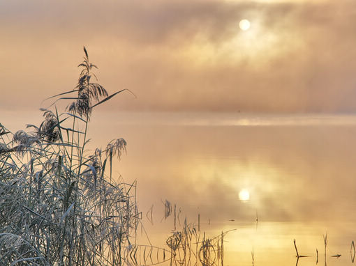 形容心情低落的说说 