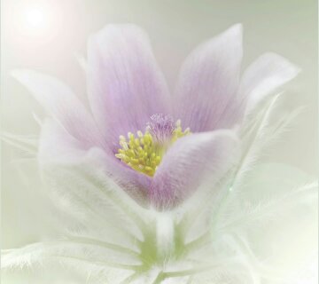 女人伤心的心情说说 