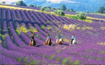 若无其事，原来是最狠的报复 