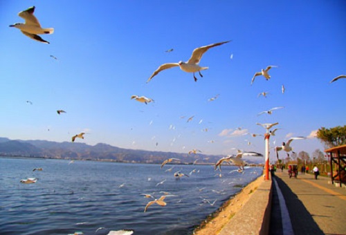 微信个性说说唯美句子 