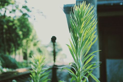 qq空间情感留言说说 (图1)