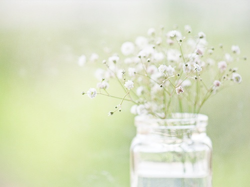 生活的句子说说心情 