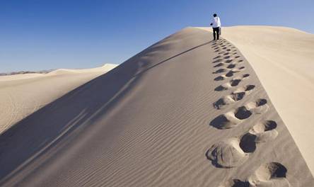 优等的心，不必华丽，但必须坚固 (图1)