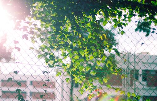 想念一个人心情说说 (图1)