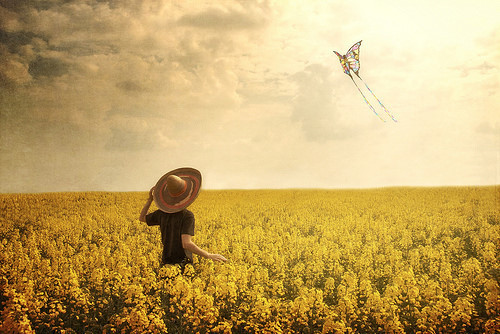 记住了并不代表是永恒，忘却了也不等于没发生(图1)