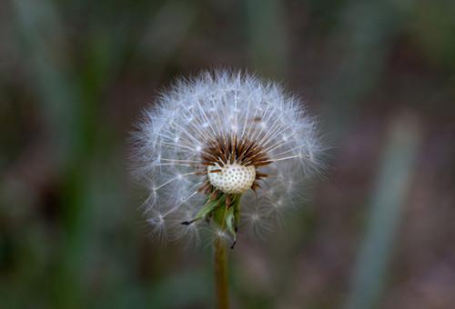 qq空间说说一句话 