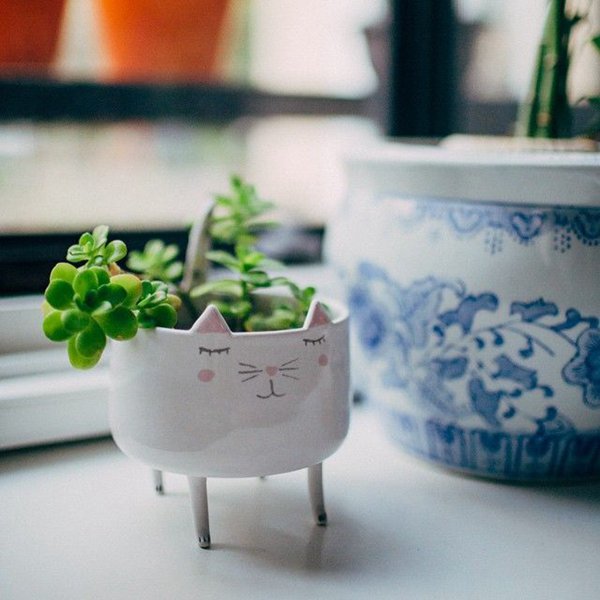 QQ空间好听的感悟的说说 (图1) QQ空间好听的感悟的说说 (图1)