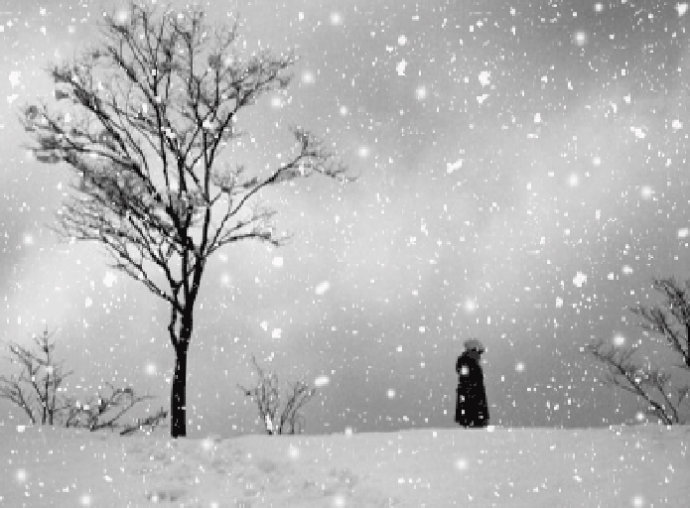 关于下雪的说说 (图1)