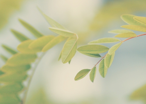 qq空间说说心情 谁说分手过后就一定要哭